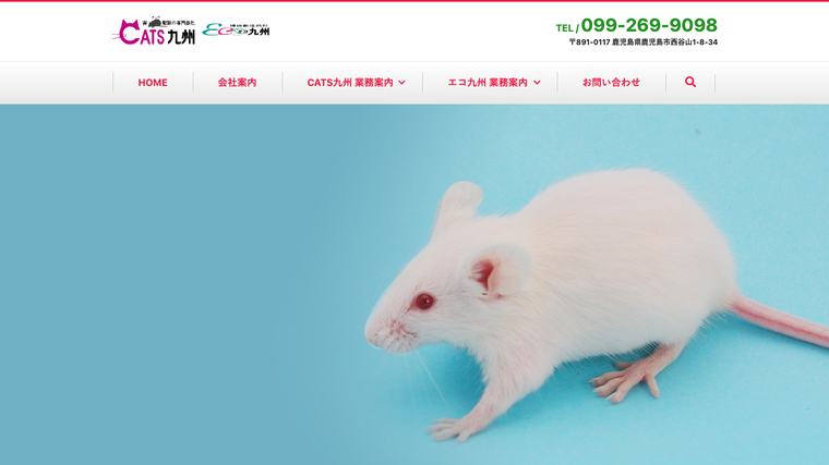 キャッツ九州の掲載画像